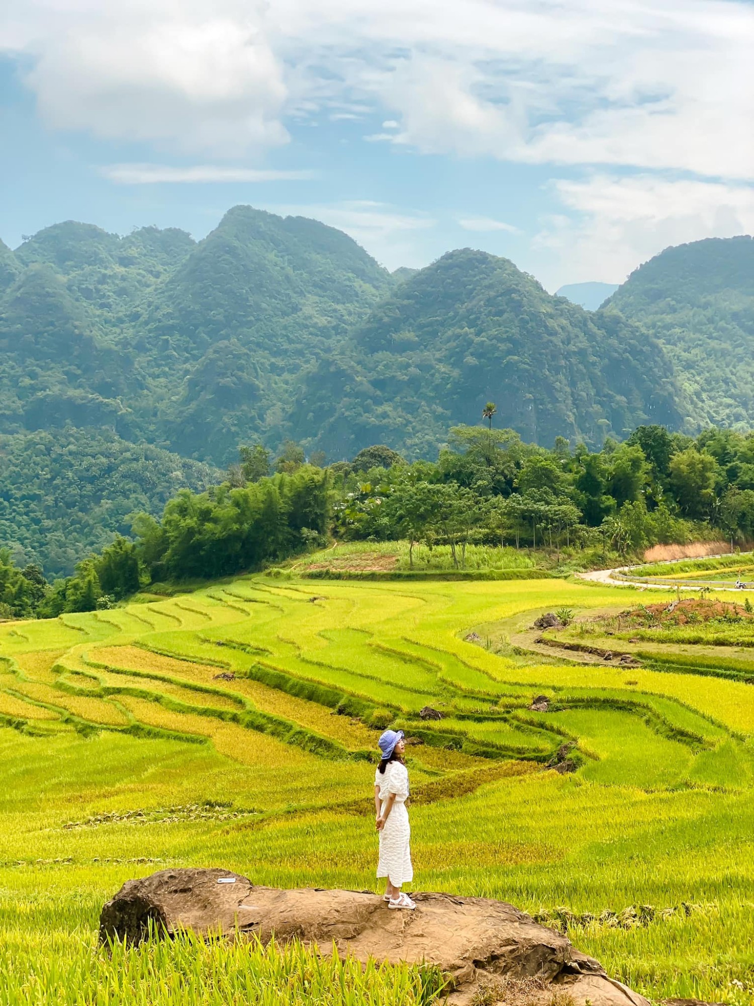 Mùa lúa chín Pù Luông làm nức lòng “giới mộ điệu”
