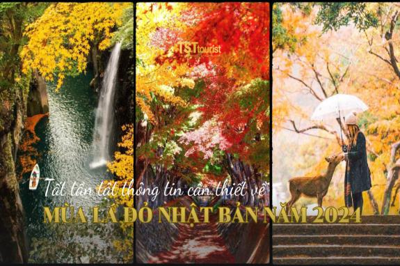 Mùa lá đỏ Nhật Bản năm 2024: Dự báo lịch ngắm lá và gợi ý những tọa độ khám phá mùa thu