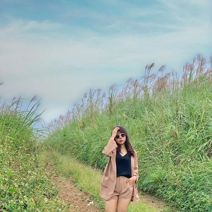 TSTtourist-5-canh-dong-co-lau-ha-noi-dep-hut-hon-ma-du-khach-khong-the-bo-qua-trong-thang-11-4