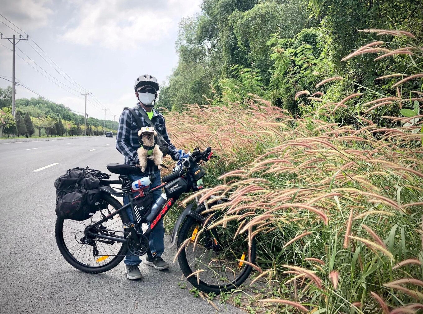 TSTtourist-con-duong-co-lau-ruc-ro-dip-cuoi-nam-o-can-gio-1