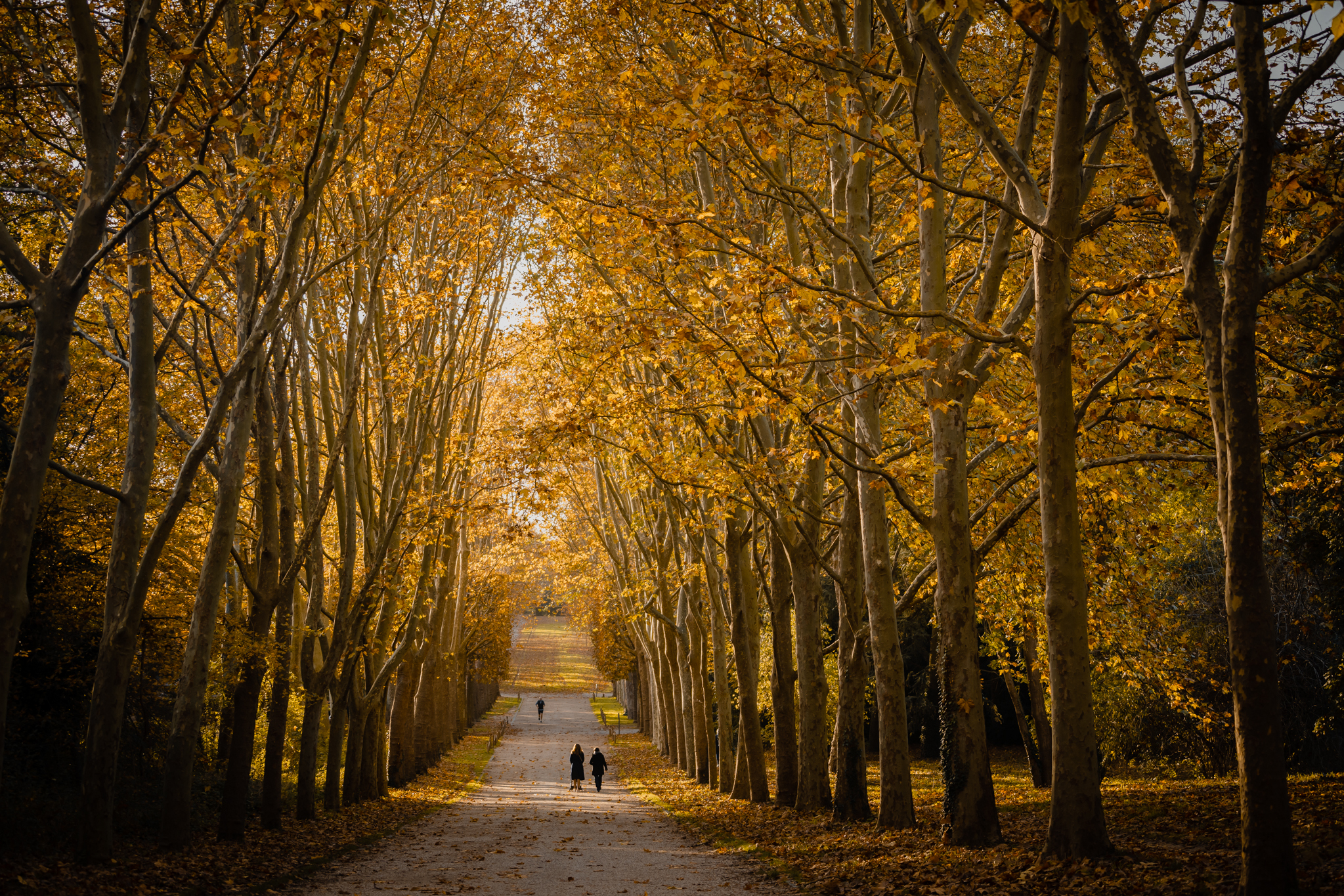 TSTtourist-thu-paris-duoi-ong-kinh-nhiep-anh-gia-viet-6