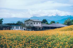 Đài Loan cấp lại visa Quan Hồng cho khách Việt