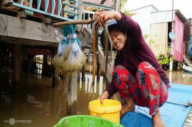 Dân miền Tây săn cá linh, rắn mùa nước nổi