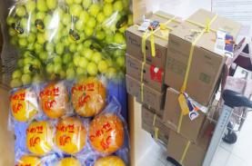 Mang trái cây tươi vào Thái Lan có thể ngồi tù