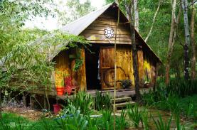 Nơi du khách hiểu hơn về voi Buôn Đôn