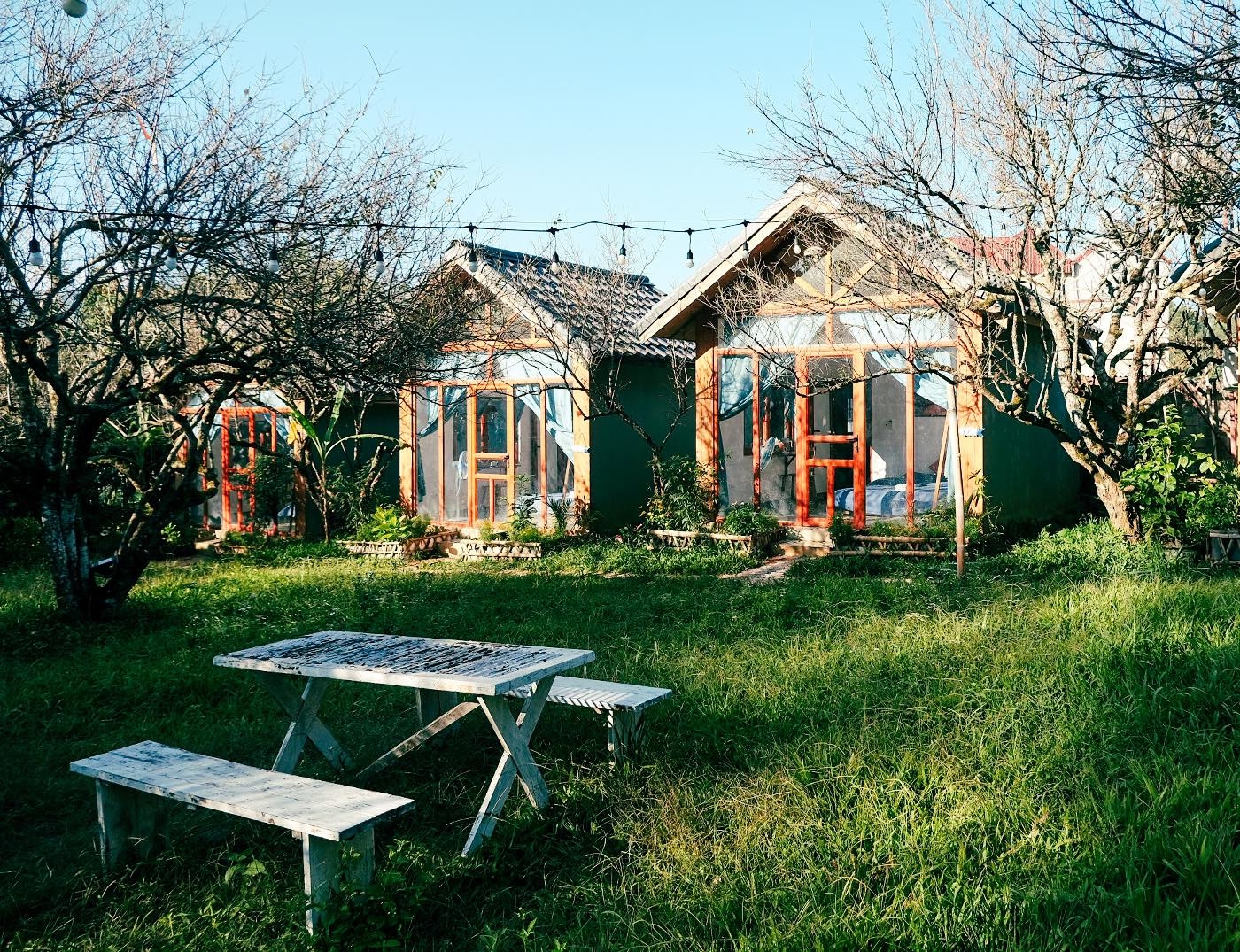 TSTtourist-4-homestay-dep-o-moc-chau-cho-mua-san-hoa-1