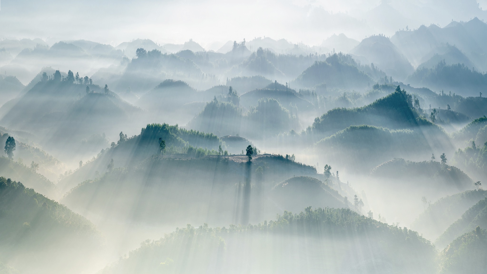 TSTtourist-ban-giao-huong-nhiep-anh-o-da-lat-1