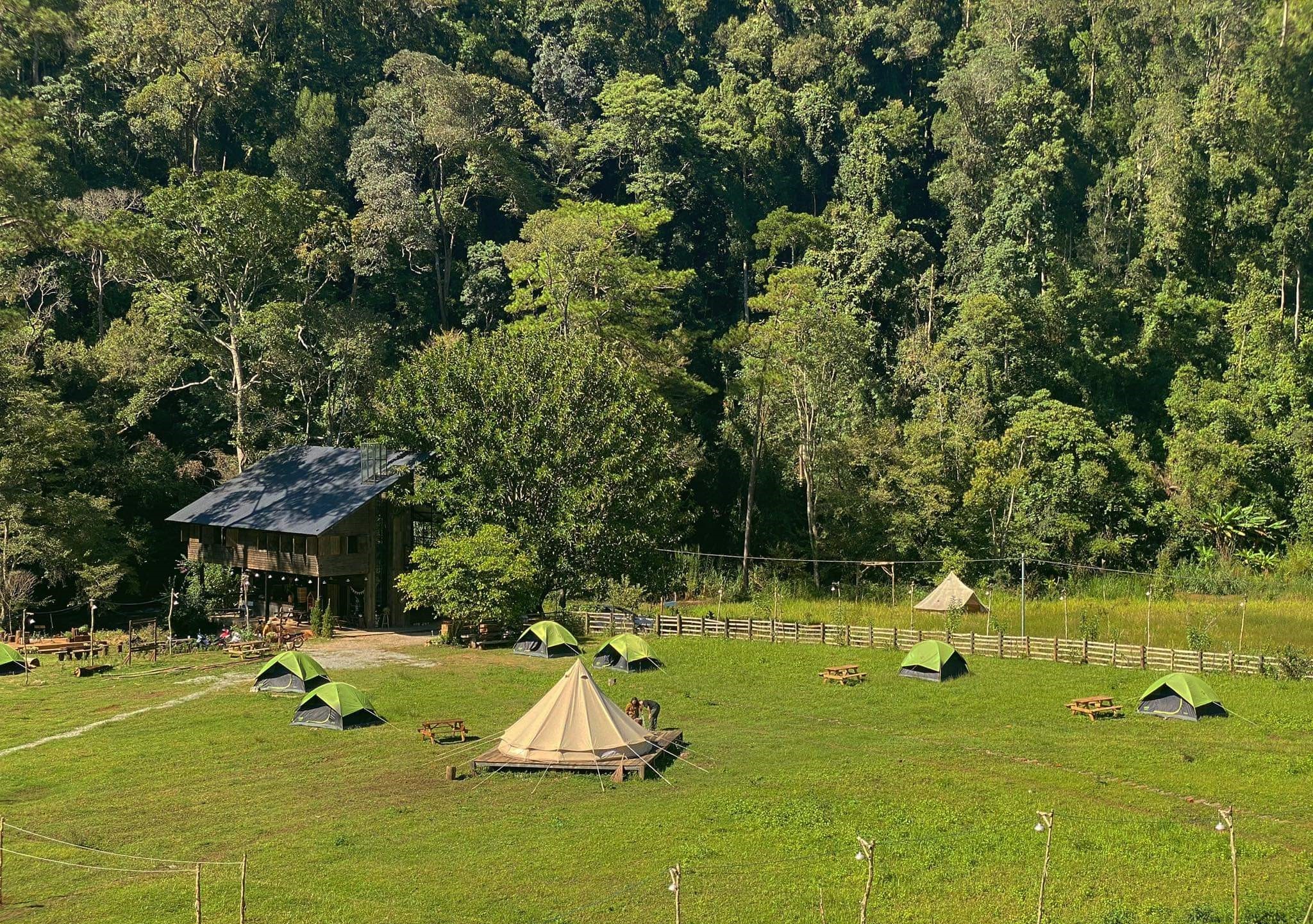 TSTtourist-cam-trai-sang-chanh-o-da-lat-ngay-dau-nam-5