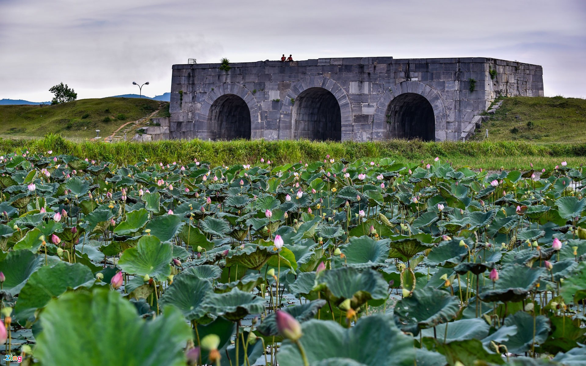 TSTtourist-kien-truc-co-o-thanh-nha-ho-phat-lo-sau-cuoc-khai-quat-lon-ky-luc-9