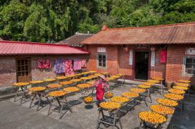 Du lịch Đài Loan cuối năm có gì hấp dẫn?