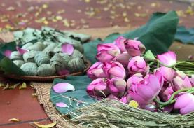 Lãng mạn làng sen Charaih Ninh Thuận