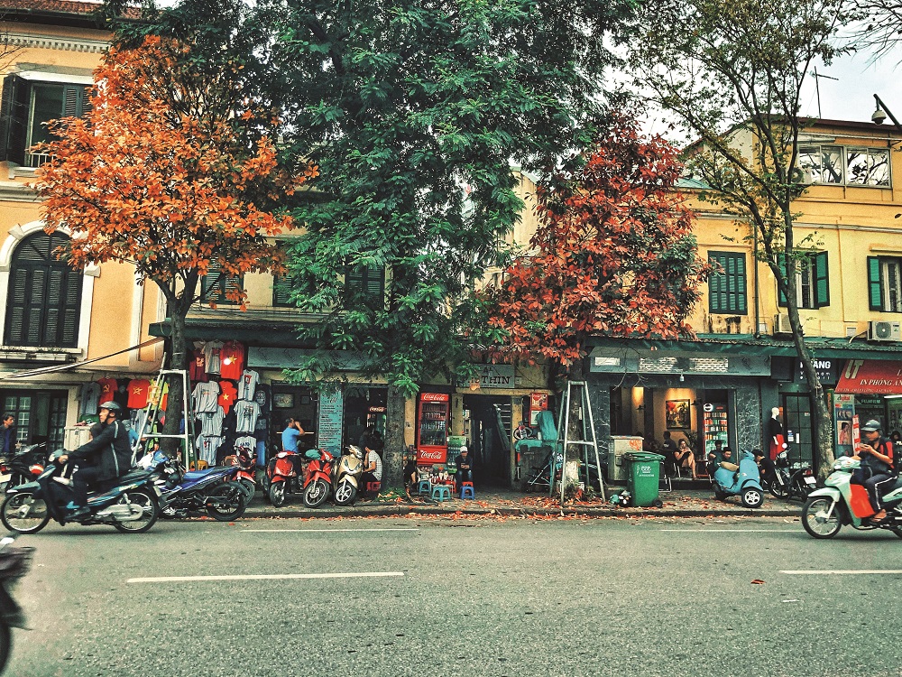 The golden autumn of Hanoi