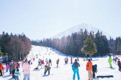KHÁM PHÁ THIÊN ĐƯỜNG THIÊN NHIÊN: HOKKAIDO - SAPPORO - NOBORIBETSU